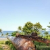 puertoplata_v_00049_dom3785.jpg